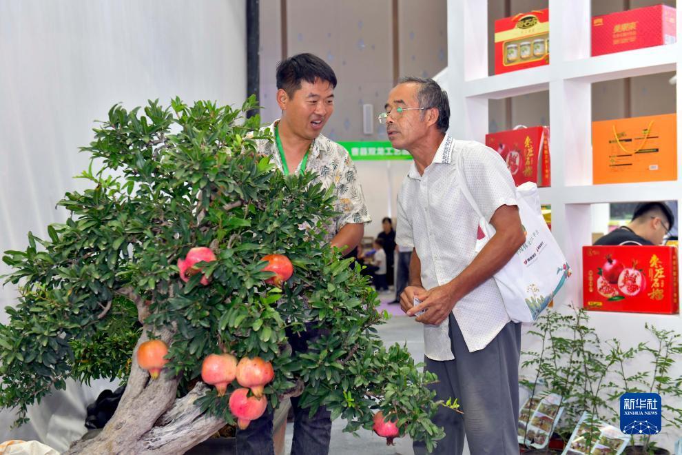 开元官方手机版下载安装